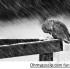 Ohmygossip.com fun pics! Vol4 (Read: Lol4)