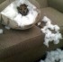 Ohmygossip.com fun pics! Vol3 (Read: Lol3)