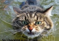 Ohmygossip.com fun pics! Vol3 (Read: Lol3)