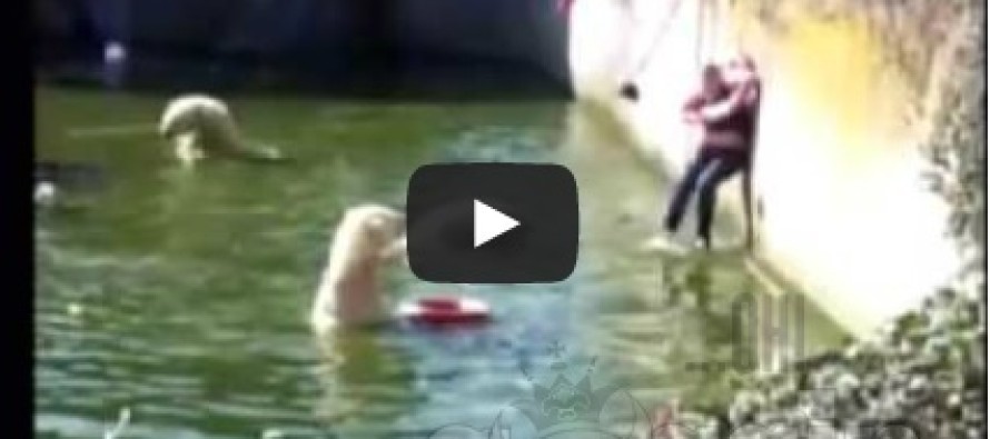 Woman attacked by Polar Bears at Berlin Zoo