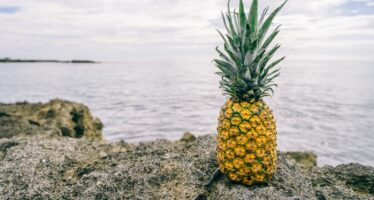13 Benefits of pineapple for better health