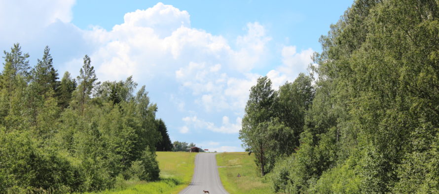 Helena-Reet: Vacation (vol 2) – Ruudiküla in Viljandi (Estonia)