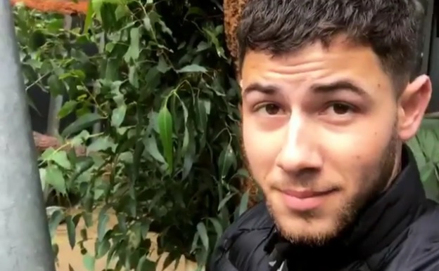 Nick Jonas instagram video ohmygossip