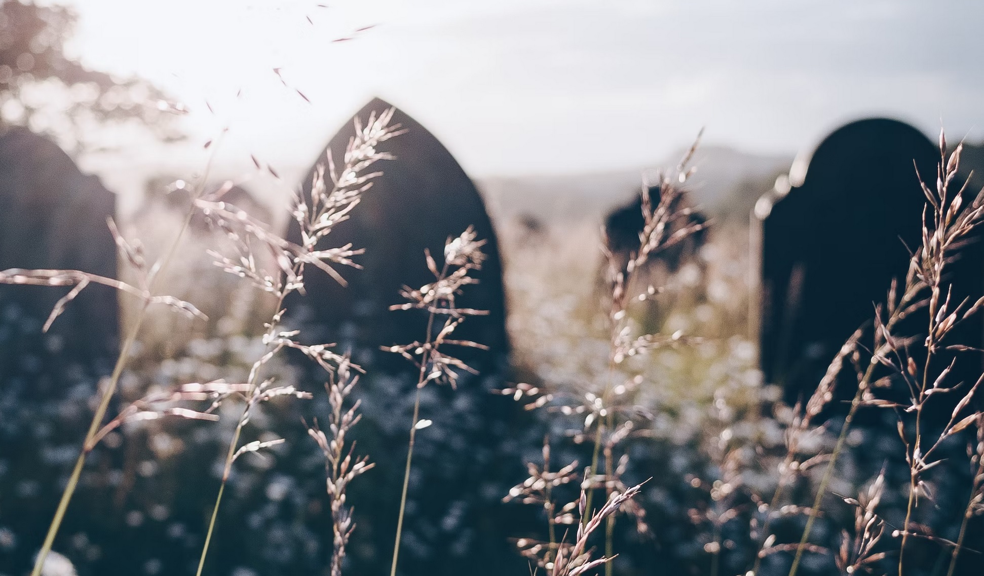 graveyard unsplash